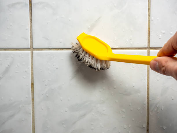 Best Residential Mold Removal  in Bay Point, CA